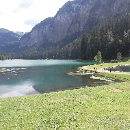 Les Brettaz * Bellevaux